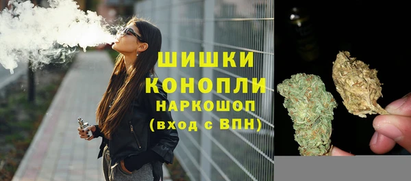 спиды Магас