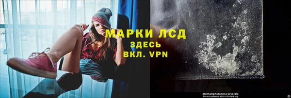 спиды Магас