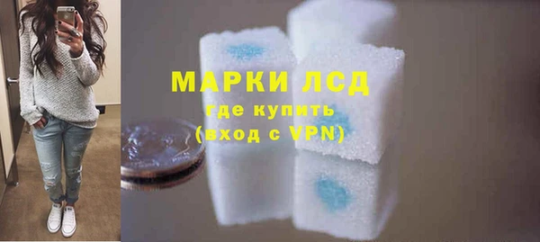 спиды Магас
