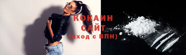 спиды Магас