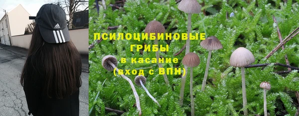 трава Магадан