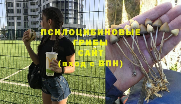 MESCALINE Майский