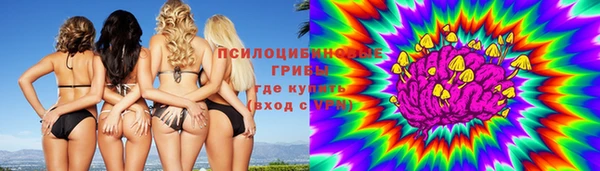 индика Лиски