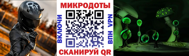 закладки  Новоалтайск  Галлюциногенные грибы GOLDEN TEACHER 