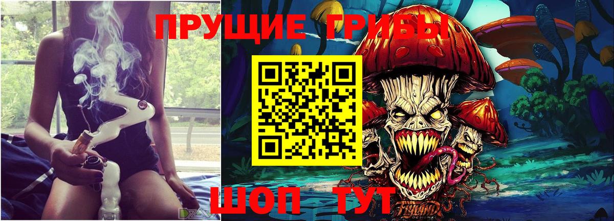 Галлюциногенные грибы GOLDEN TEACHER Новоалтайск