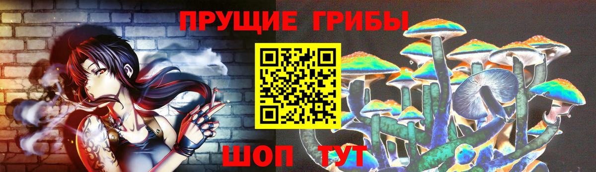 Галлюциногенные грибы GOLDEN TEACHER Новоалтайск