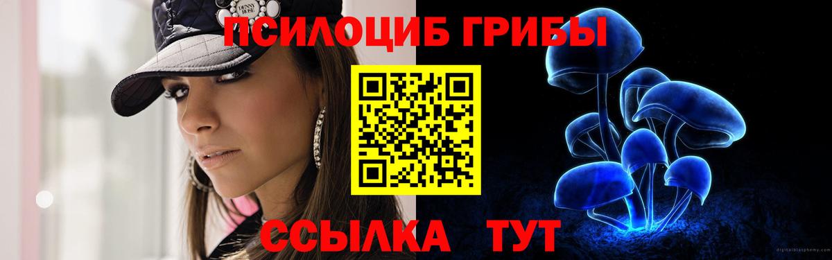 Псилоцибиновые грибы ЛСД  Вход с VPN  Новоалтайск 