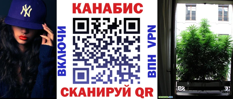 Шишки марихуана план наркота Новоалтайск